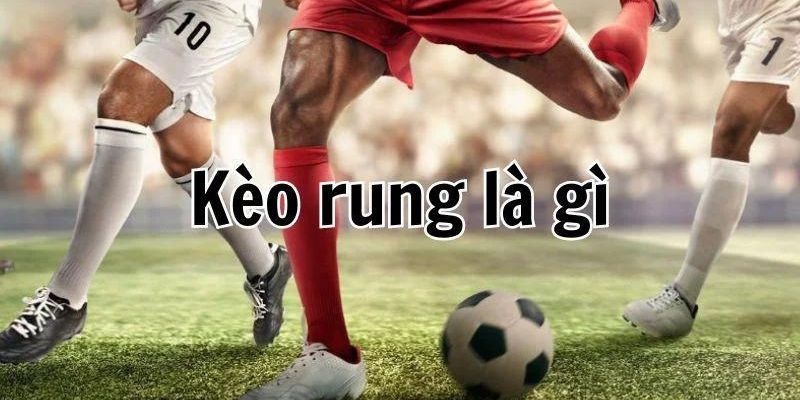 Kèo Running đánh rung – Chia sẻ cách đặt cược cho người mới - hình ảnh - nrbbljylci.top Kèo Running đánh rung – Chia sẻ cách đặt cược cho người mới - hình ảnh - nrbbljylci.top