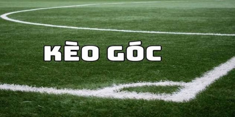 Kinh nghiệm soi kèo phạt góc tăng cơ hội bắt cược chuẩn xác - hình ảnh - nrbbljylci.top Kinh nghiệm soi kèo phạt góc tăng cơ hội bắt cược chuẩn xác - hình ảnh - nrbbljylci.top