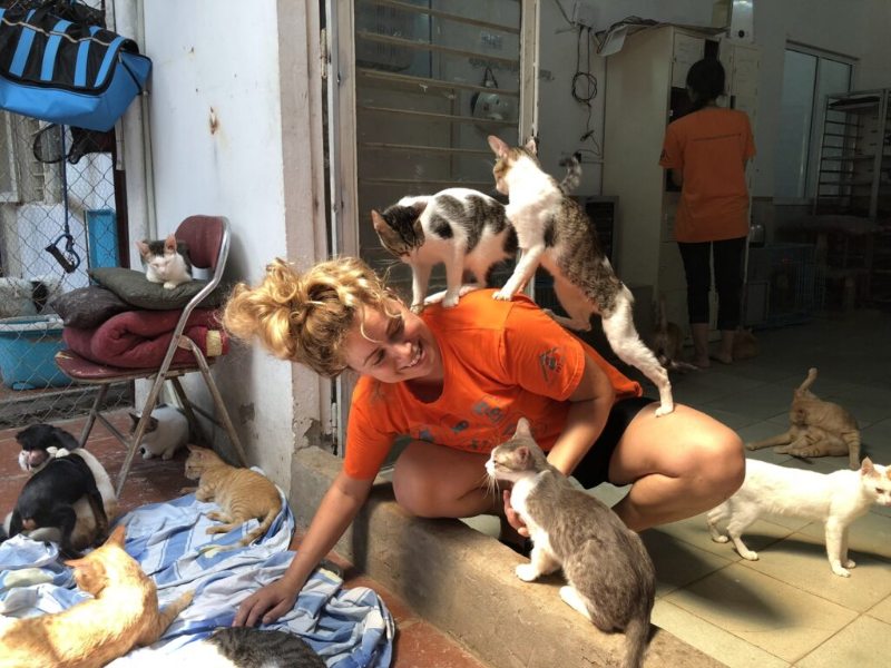 Mơ thấy mèo – Luận giải ý nghĩa và các cặp số đi kèm - hình ảnh - nrbbljylci.top Mơ thấy mèo – Luận giải ý nghĩa và các cặp số đi kèm - hình ảnh - nrbbljylci.top