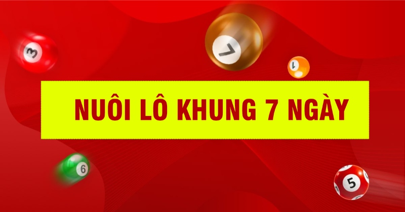 Nuôi lô 7 ngày – Kinh nghiệm đánh lô đề đạt hiệu quả như ý - hình ảnh - nrbbljylci.top Nuôi lô 7 ngày – Kinh nghiệm đánh lô đề đạt hiệu quả như ý - hình ảnh - nrbbljylci.top