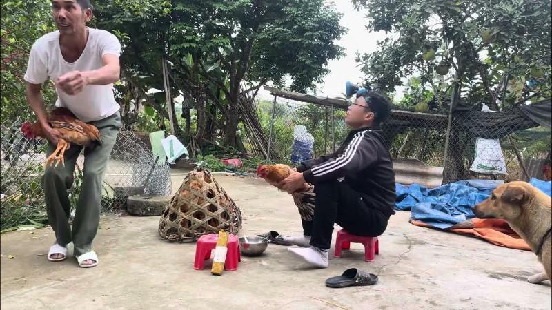 Thiến gà đá đúng cách – Tiết lộ kỹ thuật thực hiện chuẩn - hình ảnh - nrbbljylci.top Thiến gà đá đúng cách – Tiết lộ kỹ thuật thực hiện chuẩn - hình ảnh - nrbbljylci.top